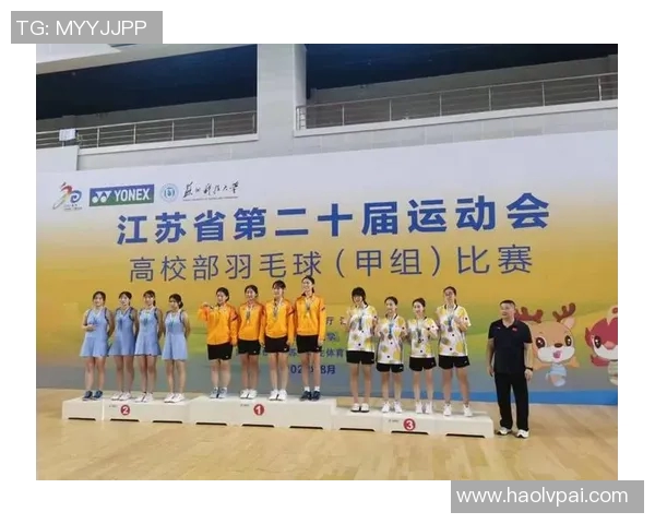 深入探讨北京羽毛球队配合默契与战术执行的独特分析