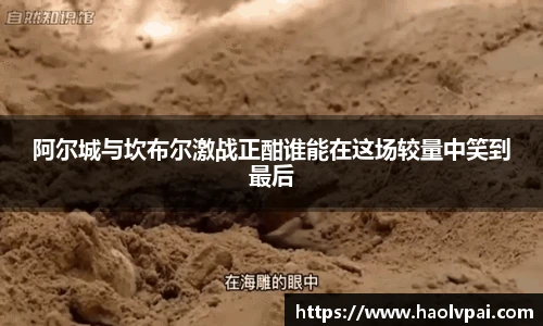 完美体育登录入口