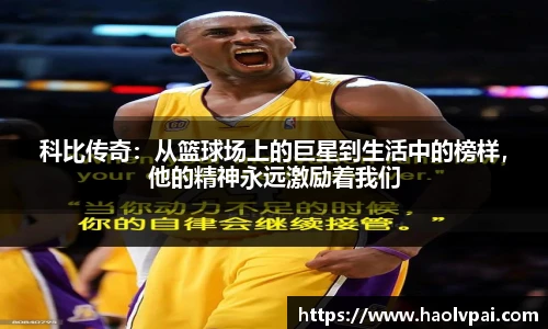 完美体育登录入口