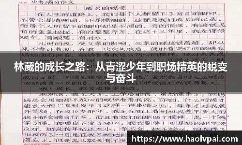365完美体育官网